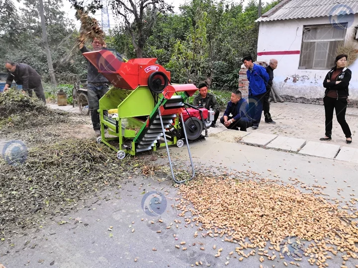 peanut picker price